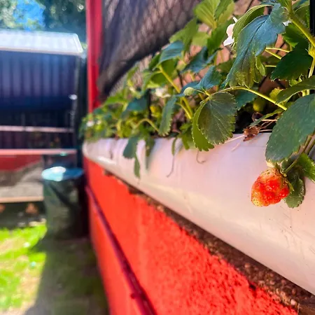 Nyaraló Casa Con Jardin A Un Minuto De La Playa, Casa Nolo Hio